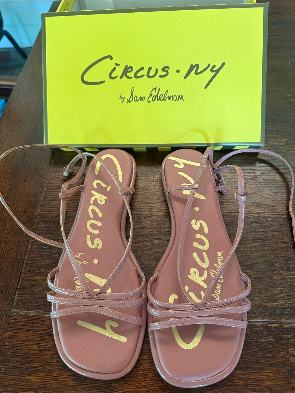 Circus by Sam Edelman Mauve Pink Strappy Lace-Up Flat Sandals